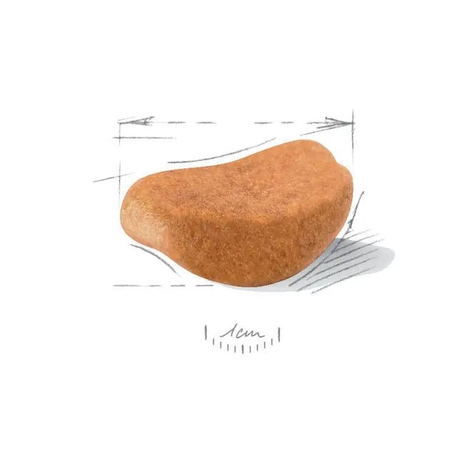 Royal Canin Rottweiler Puppy Dry Dog Food – 12kg - Pet Supply